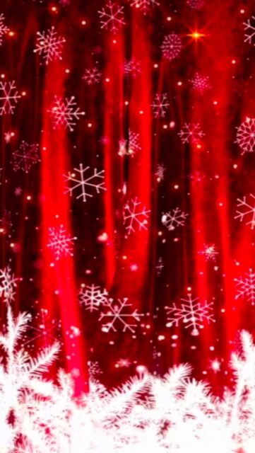 🎅 AM SAMSTAG DEN 13.12 LIVE 🎙️IN DER KIEZ ALM HAMBURG @rumbombe 🤩 MIT UNSEREN 3 ADVENT ABRISS 🍺🎄SICHERT EUCH JETZT DAS GOLDENE TICKET AUF UNSERER WEBSEITE www.KIEZ-ALM.de UM GARANTIERTEN EINLASS ZU HABEN 🎫
@dj_gary_offiziell wird alles geben um Euch zu Unterhalten und gemeinsam die Alm zum WACKELN bringen ! 
Wir freuen uns auf Dich! 
WIR SIND PARTY ❗️
KOMM IN DEINEN #lieblingsclub
#kiezalmhamburg #kiezalm #großefreiheit #reeperbahnhamburg #kiez #hamburg #wirsindparty #hamburgerkiez #saufisaufi #wirsindmalle #wirsindparty #malle #mallorcaparty #mallorcapartysdeutschland #abfahrt #hamburgmeineperle #partybiszumabwinken #sangria #mallefieber #party #partyhard #abriss #saufisaufi #moinmoin #bierkönig #partyhamburg